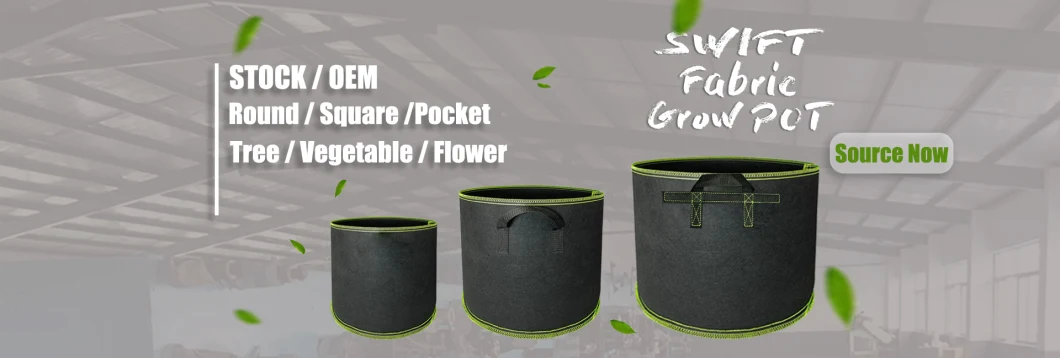 European No Handles Small Size 3.7 Litre Felt Fabric Nursery Grow Pots Spinach Heavy Duty Geotextile Fabric 1 Gallon Plant Grow Bags for Garden